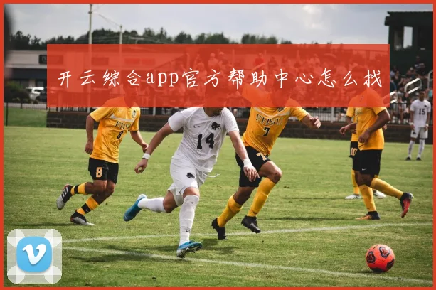 开云综合app官方帮助中心怎么找
