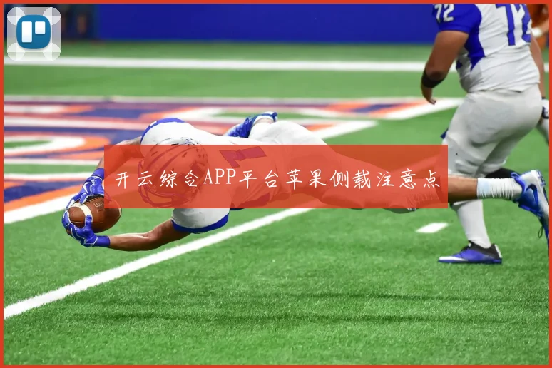 开云综合APP平台苹果侧载注意点