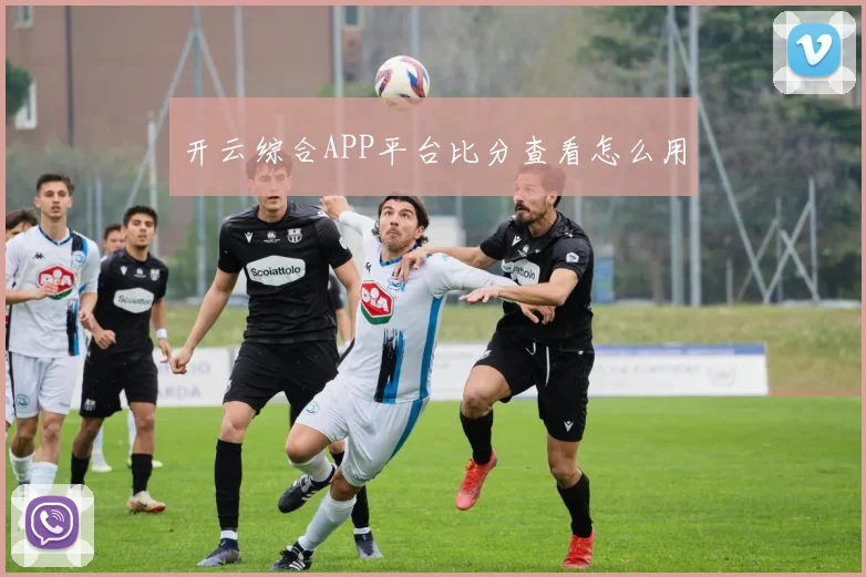 开云综合APP平台比分查看怎么用